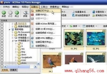 为网页制作提速ACDSee10技巧三则
