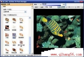 为网页制作提速ACDSee10技巧三则
